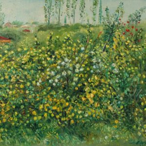 Yellow and white roses in the garden «My Garden» serie. 2015, oil on canvas, 40x50