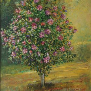 Syrian Rose Bush. 2010, oil on canvas, 70x60