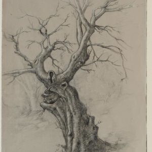 Ծառ. Էտյուդ, 1975, թուղթ, ածուխ, 50 x 37